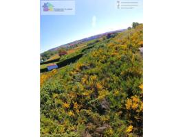 se vende parcela rustica de 640m2 , con una bodega de 11m2, en la zona de las Bodegas de Trobajo del camino, cerca del n photo 0