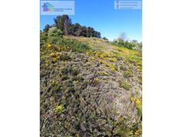 se vende parcela rustica de 640m2 , con una bodega de 11m2, en la zona de las Bodegas de Trobajo del camino, cerca del n photo 0