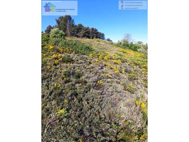 se vende parcela rustica de 640m2 , con una bodega de 11m2, en la zona de las Bodegas de Trobajo del camino, cerca del n photo 0