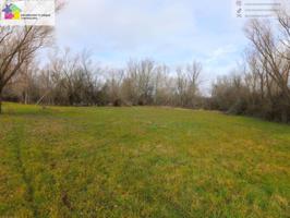 se vende terreno en Onzina de la Valdoncina, de 1480m2. son dos terrenos juntos uno urbano, otro rustico, pertenece al m photo 0