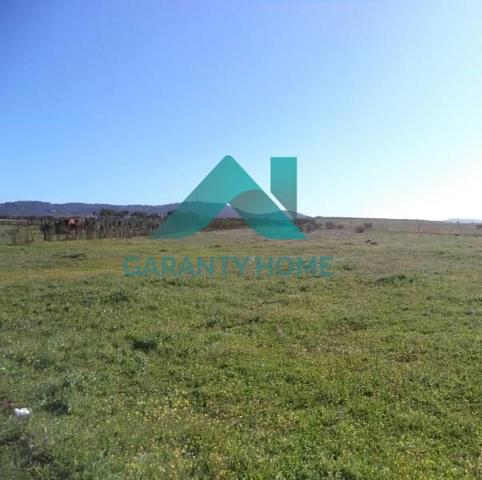 Se vende Terreno Urbanizable en zona Casa Plata photo 0