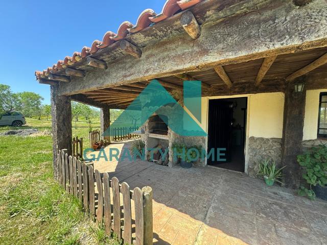 SE VENDE CAMPO RÚSTICO EN ZONA EL COLLADO photo 0
