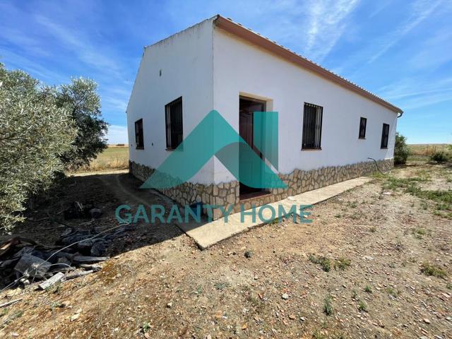 SE VENDE FINCA CON CASA DE CAMPO EN TORREORGAZ photo 0