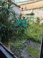 🏡 SE VENDE CASA EN MALPARTIDA DE CÁCERES – ZONA CENTRO photo 0