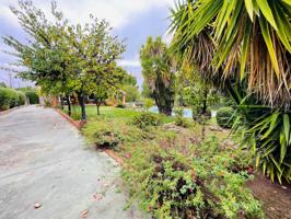 🏡 CASA DE CAMPO EN CASAR DE CÁCERES – TRANQUILIDAD Y CONFORT EN PLENA NATURALEZA 🌿 photo 0