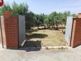 TERRENO DE 1300M² LLANO EN EL GRANDET photo 0