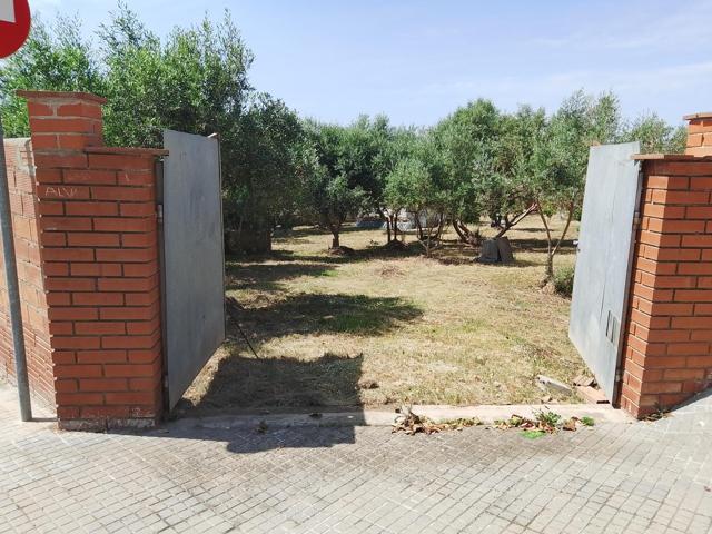 TERRENO DE 1300M² LLANO EN EL GRANDET photo 0