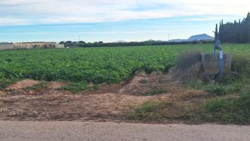 SE VENDE TERRENO RÚSTICO EN POZO ESTRECHO (CARTAGENA) photo 0