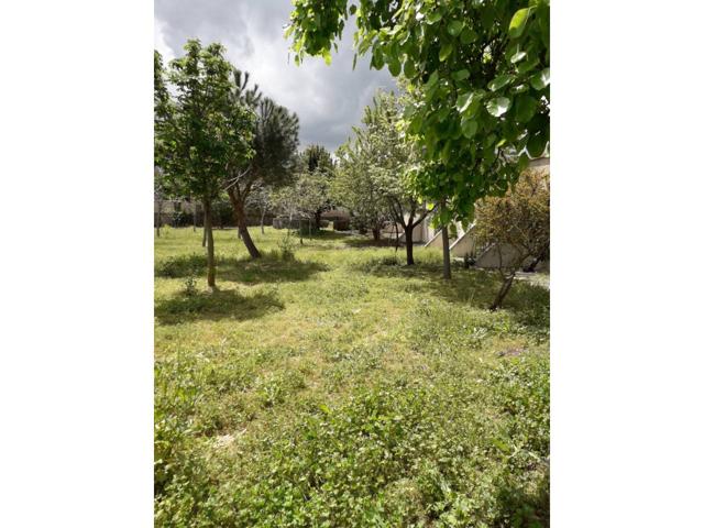 FINCA URBANA URBANIZABLE photo 0