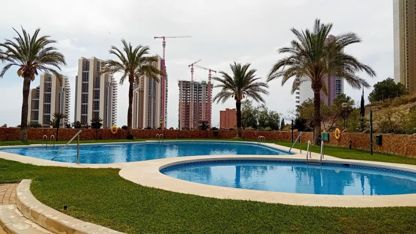 APARTAMENTO EN BENIDORM PONIENTE photo 0