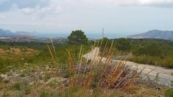 PARCELA LA NUCIA photo 0