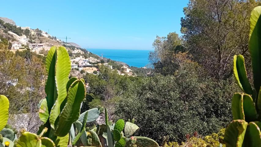 PARCELA EN ALTEA photo 0