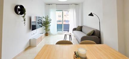 APARTAMENTO DE 2 HABITACIONES EN EL CAMPELLO photo 0