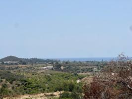 PARCELA DE 16.000 M EN ALTEA LA VELLA photo 0