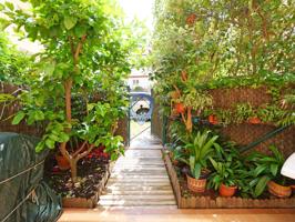 Planta baja con Parking y Jardín a tocar de la Bahía, Tossa de Mar photo 0