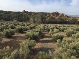 ¡ Oportunidad! Finca con gran cantidad de agua photo 0