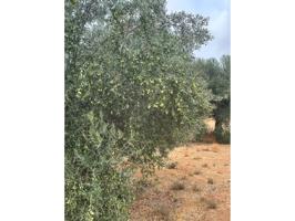 ¡ Oportunidad ! photo 0