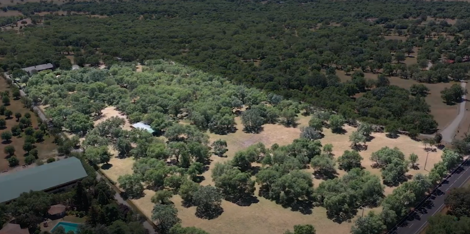 Terreno Urbanizable En venta en San Lorenzo de El Escorial photo 0