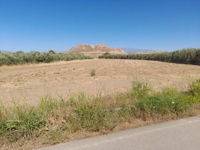 Terreno Urbanizable En venta en Chauchina photo 0