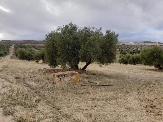 Terreno en venta en Escúzar photo 0
