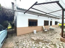 Venta de finca con casa a la venta en Chauchina (Granada) photo 0
