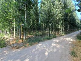 Se pone a la venta varias fincas en la zona de Fuente Vaqueros. photo 0