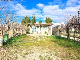 Cortijo a la venta en Chauchina (Granada) photo 0