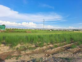 VENTA DE FINCA RUSTICA EN CHAUCHINA (GRANADA) photo 0