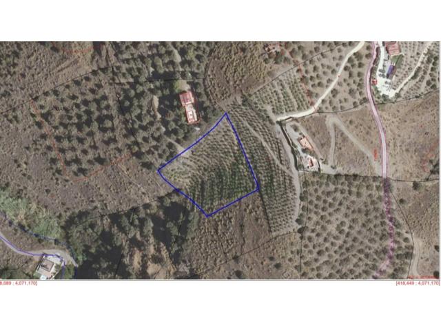 ¡Venta de terreno en Frigiliana con mangos en producción photo 0