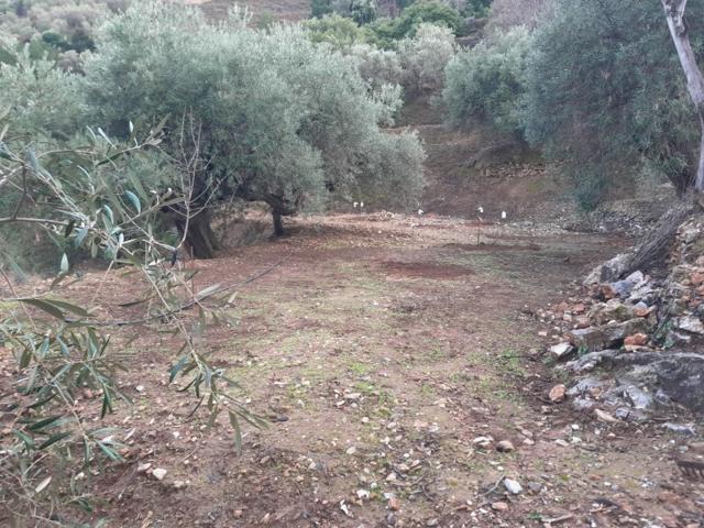 Otro En venta en Canillas De Albaida photo 0