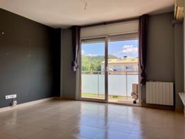 Piso En venta en Olot photo 0