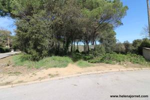 Terreno en la urbanización Llac dels Cignes photo 0