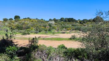 Excelente Parcela en Campo de Golf Costa Esuri photo 0