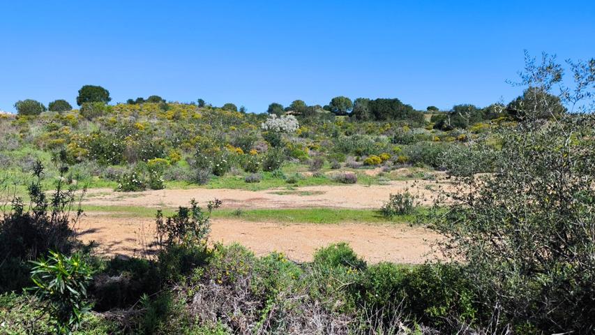 Excelente Parcela en Campo de Golf Costa Esuri photo 0