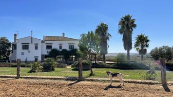 Dehesa de 87 hectáreas con buenas instalaciones taurinas e hípicas a 50′ de Sevilla y Huelva photo 0