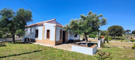 Finca rústica en Lucena del Puerto (Huelva) photo 0