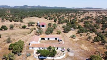 Gran Cortijo en Villanueva de los Castillejos photo 0