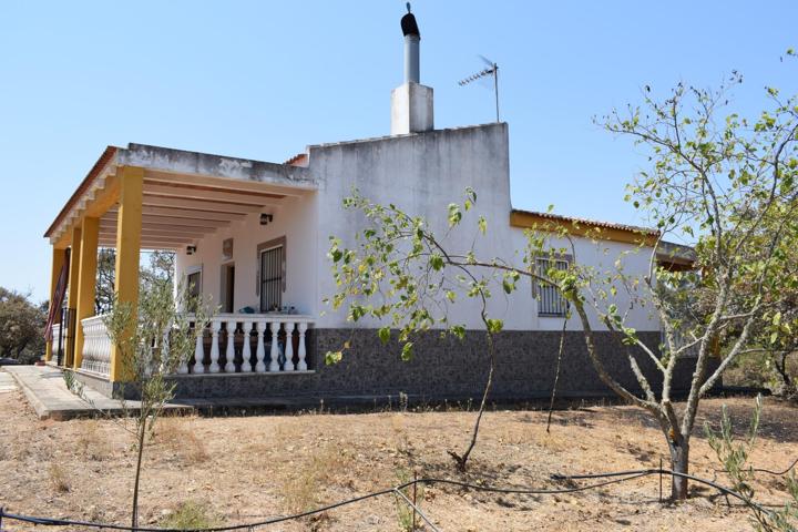 Finca rústica en San Bartolomé de la Torre photo 0