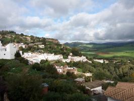 Piso en alquiler en Alcalá de los Gazules photo 0