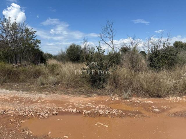 TERRENO ZONA MADRIGAL - VILLARREAL photo 0