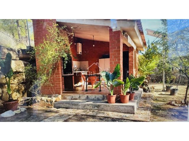 Finca rustica en venta en Sur(12001) photo 0