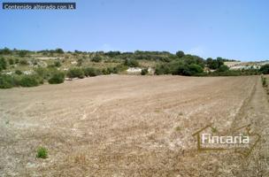 Finca Rústica con Proyecto en Manacor photo 0