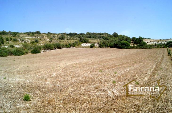 Terreno en venta en Manacor de 14057 m2 photo 0