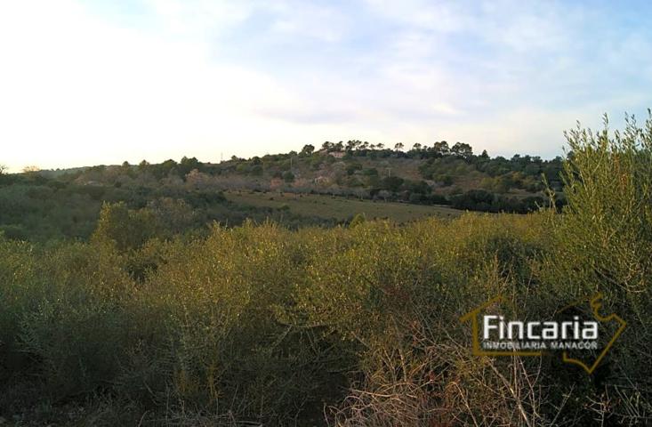Terreno en venta en Sant Joan de 35923 m2 photo 0