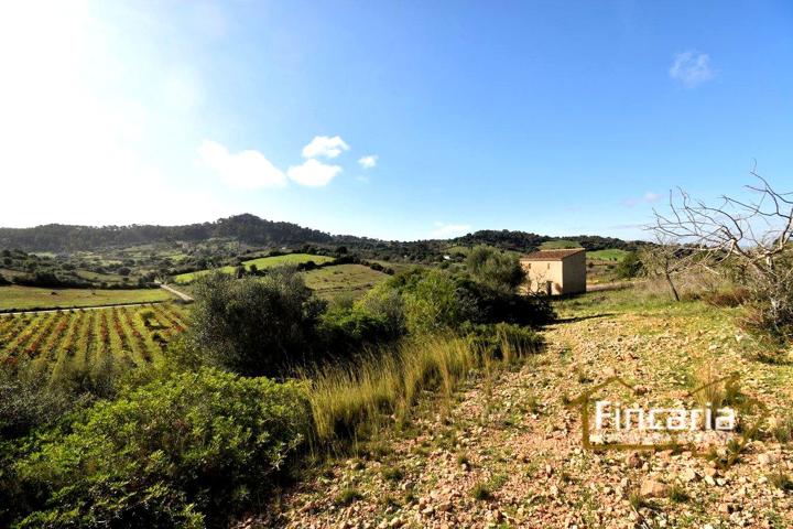 Venta de Finca Rústica urbanizable en Son Macià photo 0