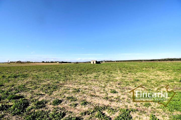 Venta de Finca Rústica urbanizable en Manacor photo 0