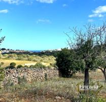 Venta de Finca Rústica urbanizable en Cala Mandia photo 0