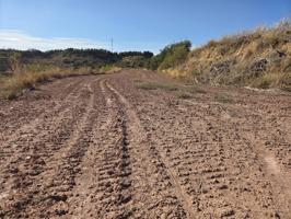 Finca Camino Portell photo 0