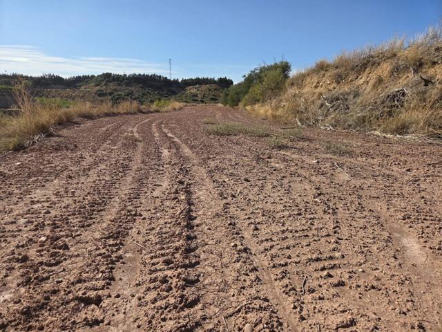 Finca Camino Portell photo 0