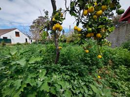 Terreno urbano en Tacoronte (La Caridad). Oportunidad exclusiva. photo 0